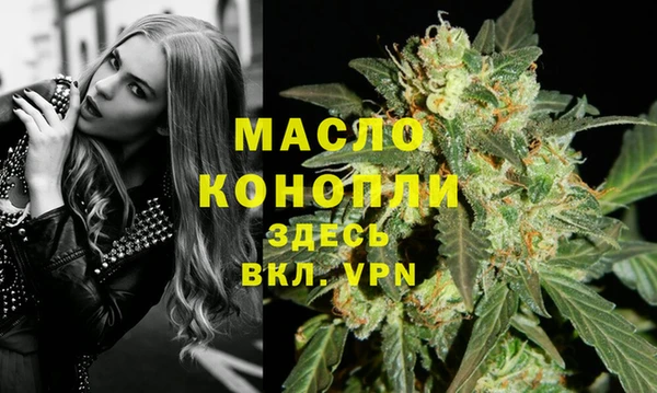 молекула духа Новозыбков