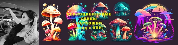 молекула духа Новозыбков