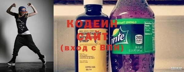 молекула духа Новозыбков