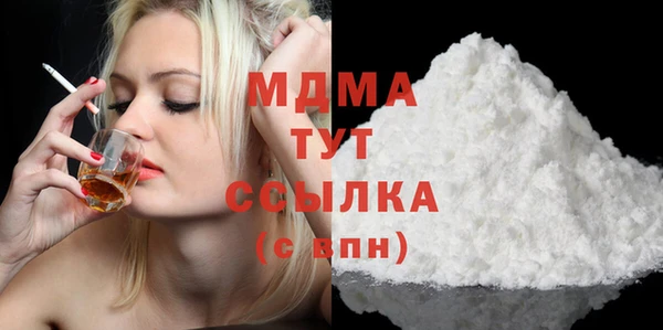 молекула духа Новозыбков