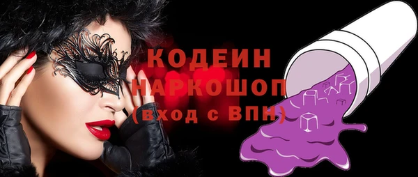 молекула духа Новозыбков