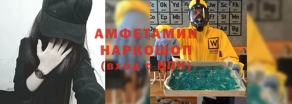 молекула духа Новозыбков