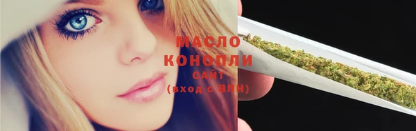 молекула духа Новозыбков