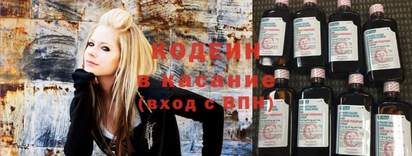 молекула духа Новозыбков