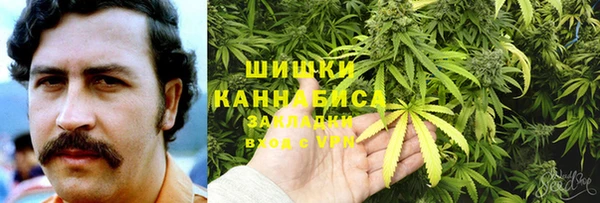 молекула духа Новозыбков