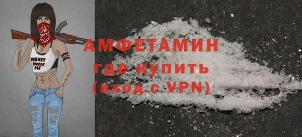 шишки Няндома