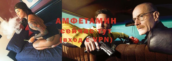 молекула духа Новозыбков