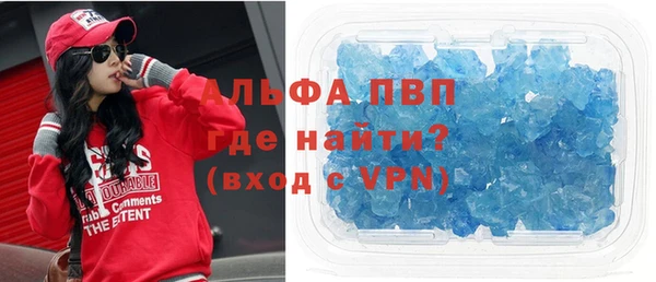 молекула духа Новозыбков