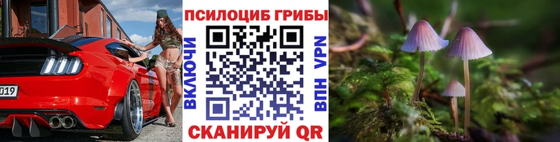 Псилоцибиновые грибы Psilocybine cubensis  Купить закладки  Клин 